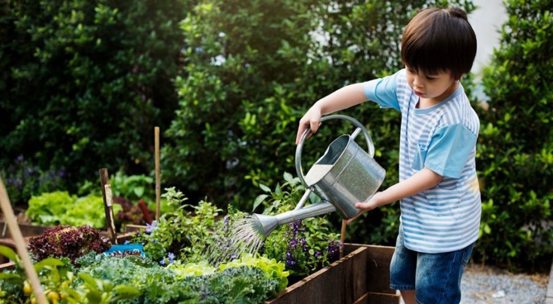 Child watering a garden
